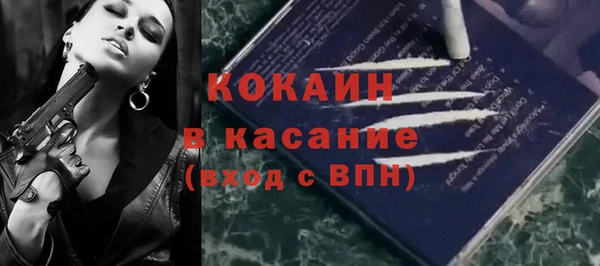 прущие грибы Краснослободск