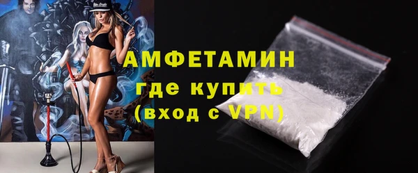 прущие грибы Краснослободск