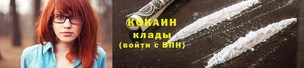 прущие грибы Краснослободск