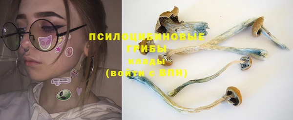 прущие грибы Краснослободск