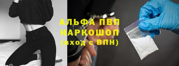 прущие грибы Краснослободск