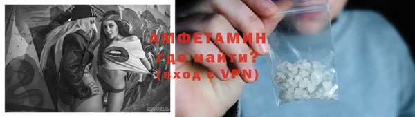 прущие грибы Краснослободск