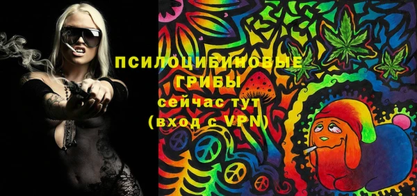 прущие грибы Краснослободск