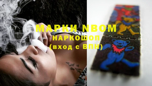 прущие грибы Краснослободск
