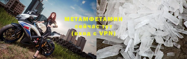 прущие грибы Краснослободск
