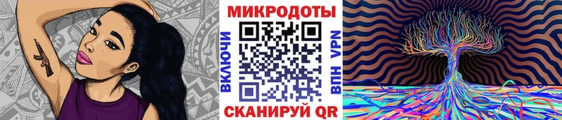 где купить наркоту  Салават  Псилоцибиновые грибы Psilocybe 