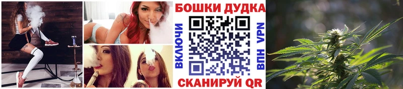 Каннабис сатива  закладка  Салават 